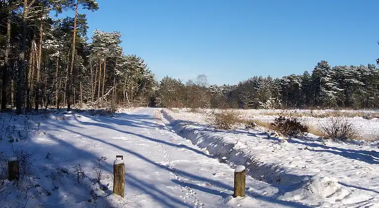 Holiday home in Luyksgestel