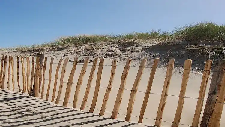 Apartment in Noordwijk aan Zee