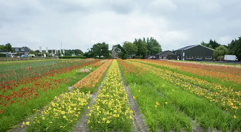 Apartment in Noordwijk aan Zee