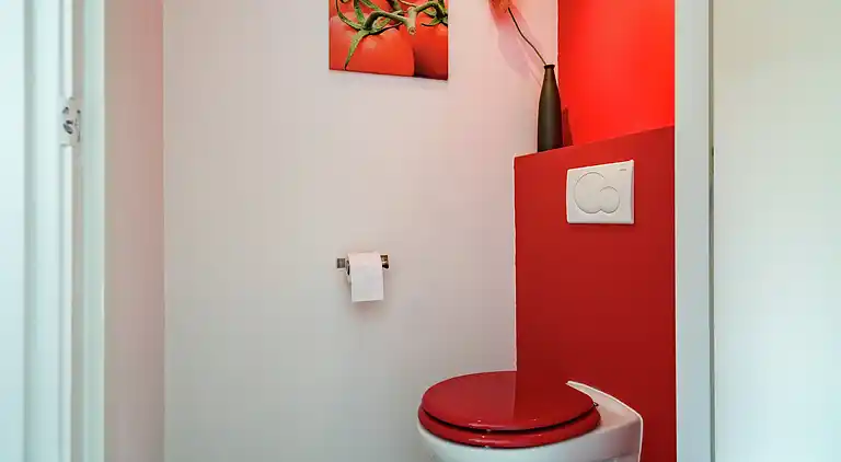 Gårdhus i Langedijke