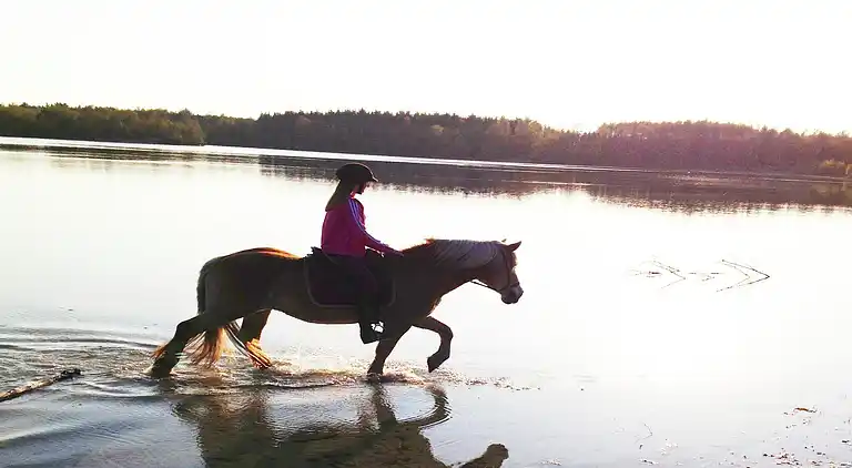Gårdhus i Langedijke
