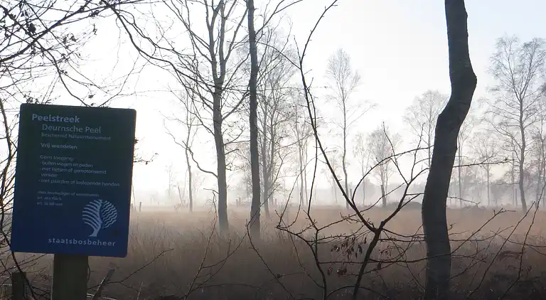 Holiday home in Liessel