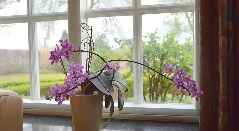 Holiday home in Liessel