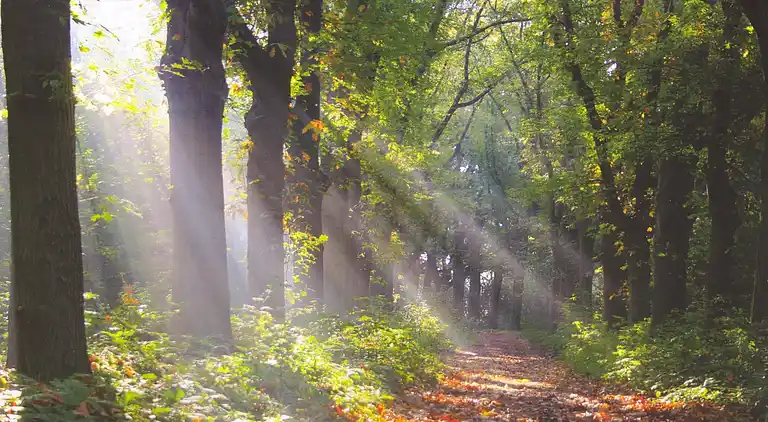 Holiday home in Oostrum