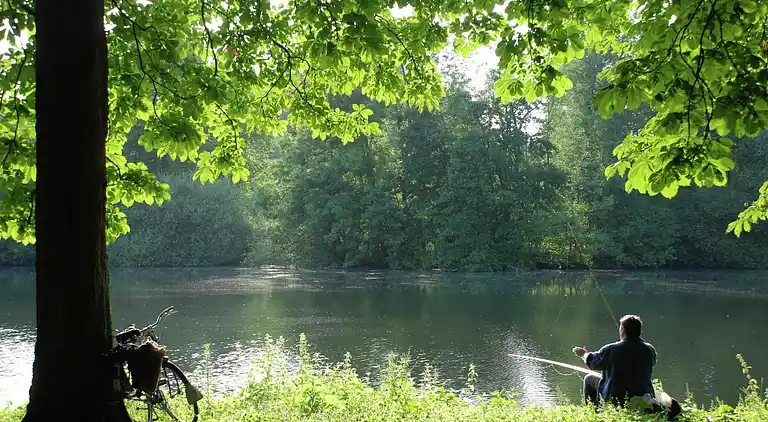 Holiday home in Oostrum