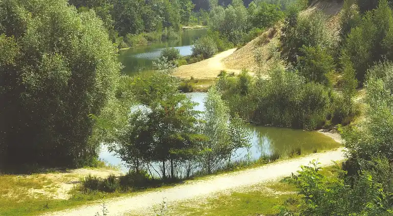 Holiday home in Oostrum