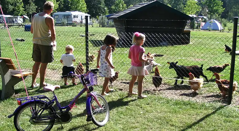 Holiday home in Oostrum