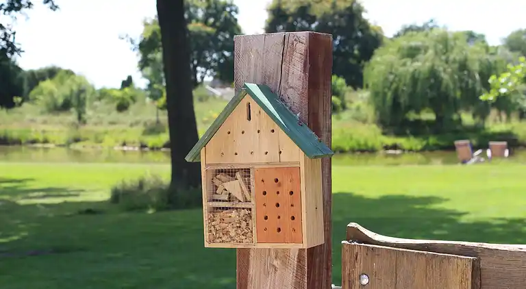 Ferienhaus in Siebengewald