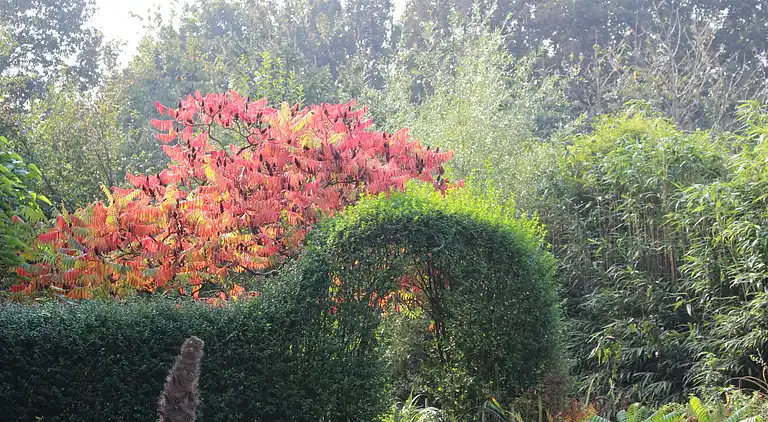Ferienhaus in Siebengewald