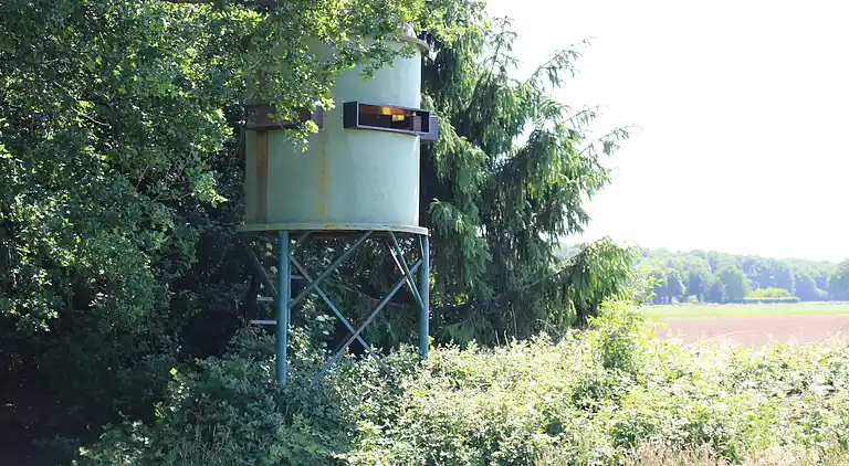 Ferienhaus in Siebengewald