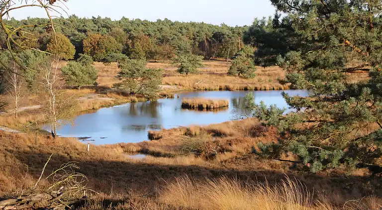 Ferienhaus in Siebengewald