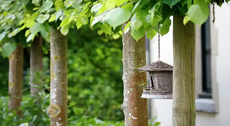 Gårdhus i Broekhuizenvorst