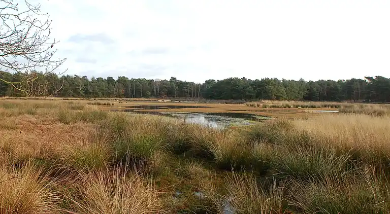 Holiday home in Leende