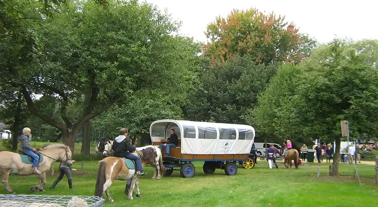 Ferienhaus in Soerendonk