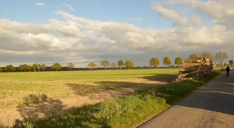 Holiday home in Nederweert-Eind