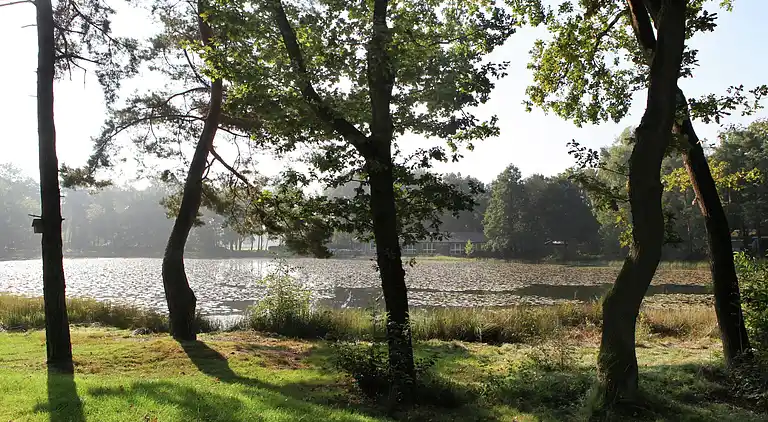 Holiday home in Europe