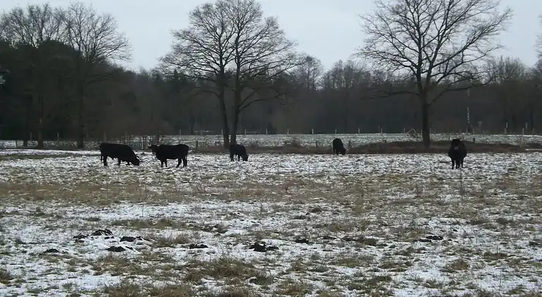 Holiday home in Europe