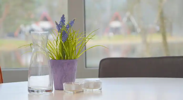 Feriebolig i Stramproy