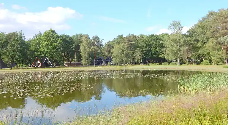 Feriebolig i Stramproy