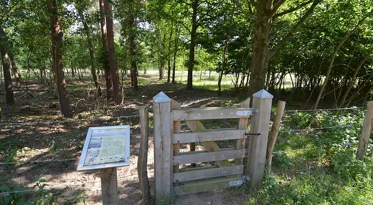 Sommerhus i Stramproy