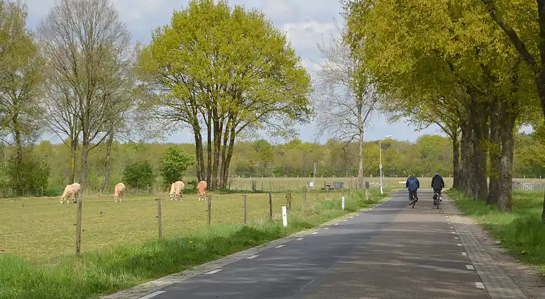 Holiday home in Stramproy