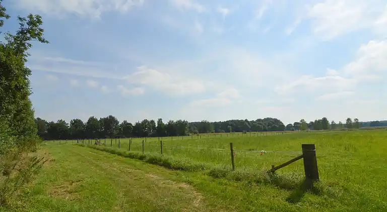 Apartment in Posterholt