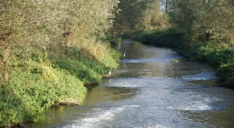 Apartment in Posterholt