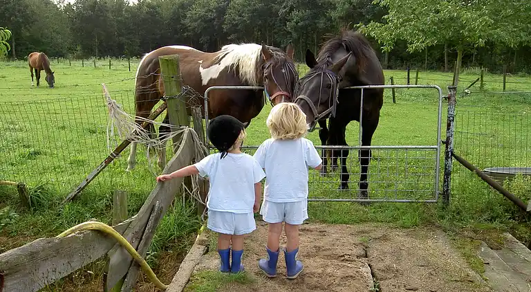 Apartment in Posterholt