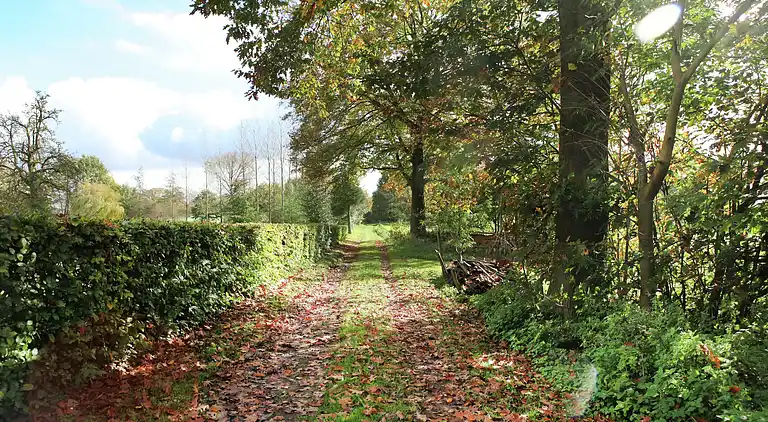 Farm house in Sint Odiliënberg