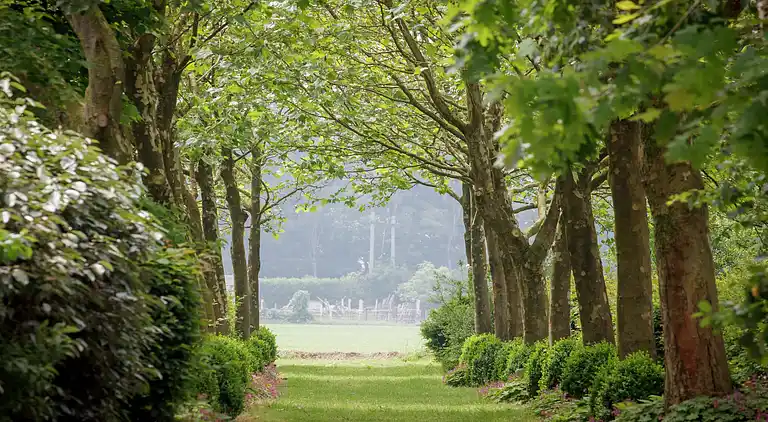 Holiday home in Baexem