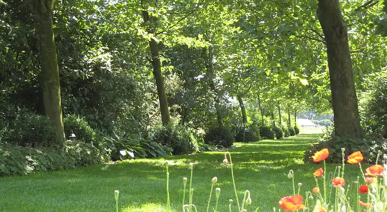 Holiday home in Baexem