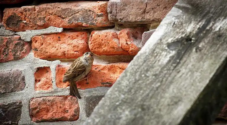 Holiday home in Baexem