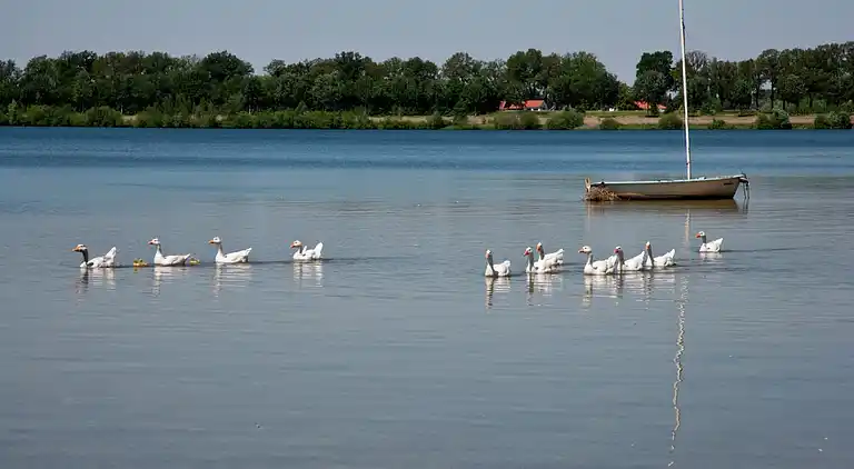 Holiday home in Heel