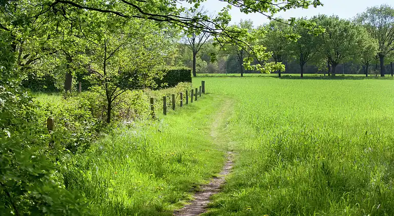 Farm house in Sint Joost