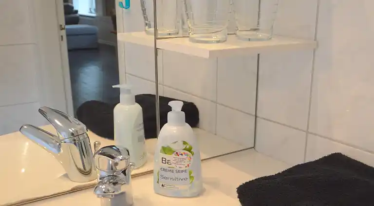 Apartment in Roosteren