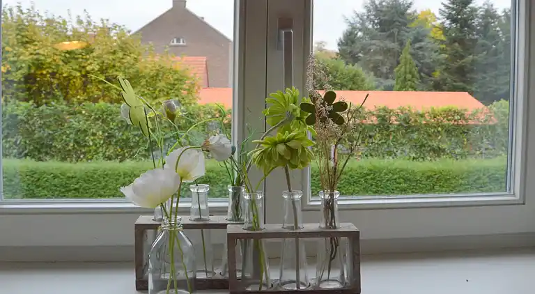 Apartment in Roosteren