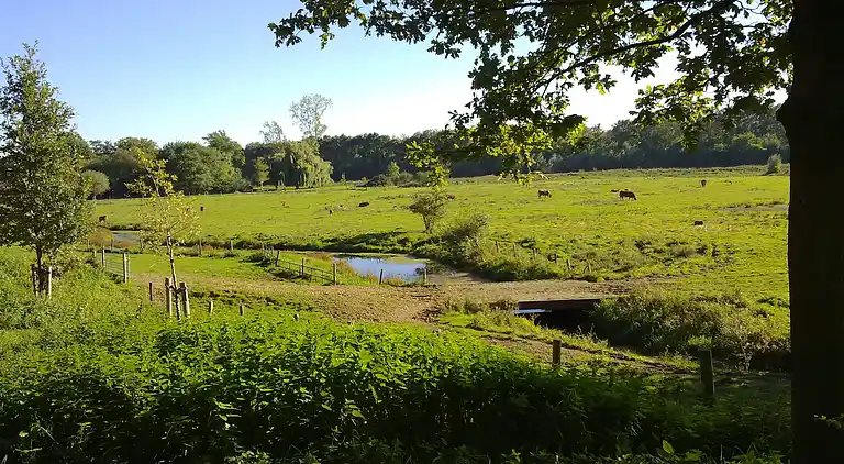 Apartment in Roosteren