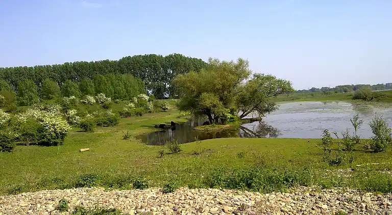 Apartment in Roosteren