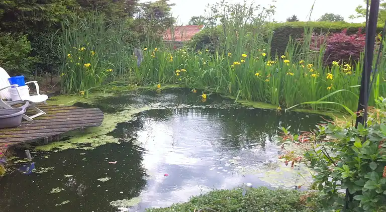 Vakantiehuis in Sweikhuizen