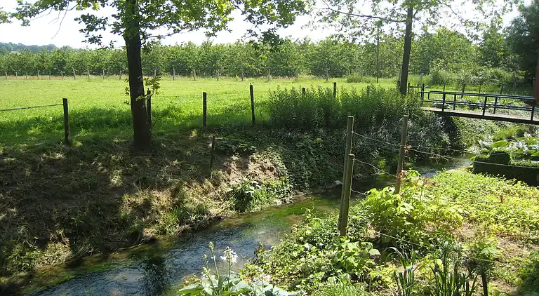 Apartment in Eijsden