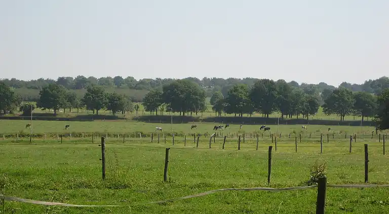 Apartment in Eijsden