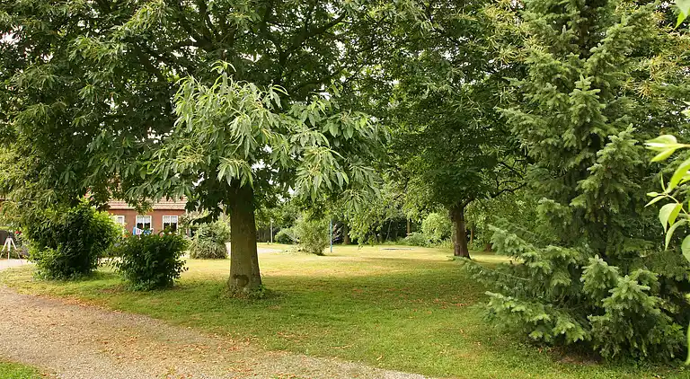 Ferielejlighed i Noorbeek