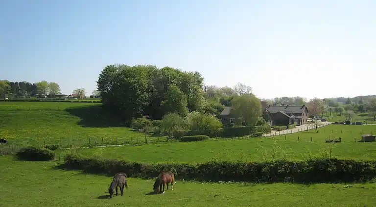 Sommerhus i Margraten