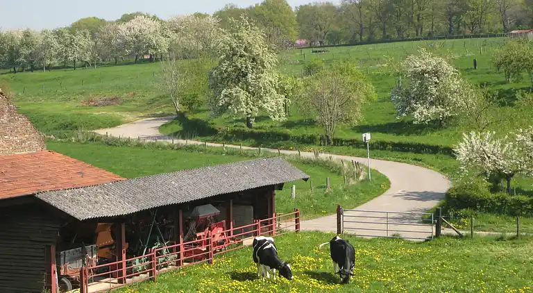 Sommerhus i Margraten