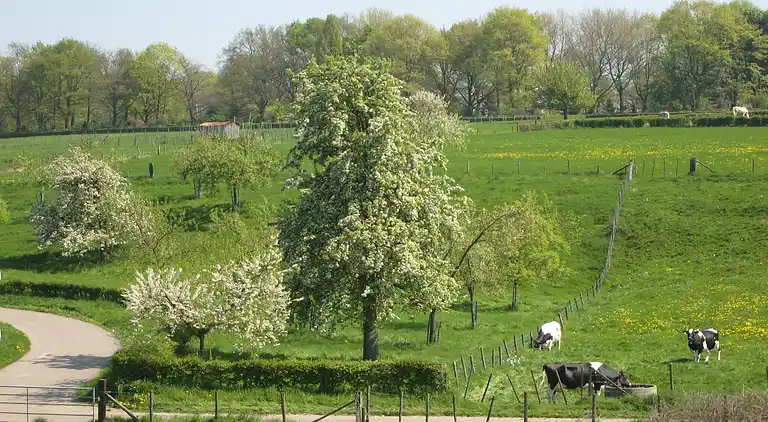 Sommerhus i Margraten