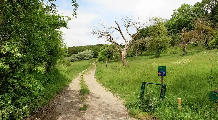Holiday home in Slenaken