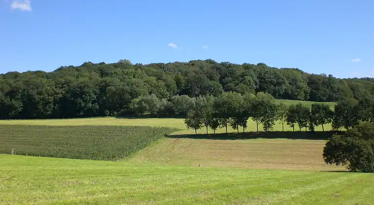 Holiday home in Slenaken