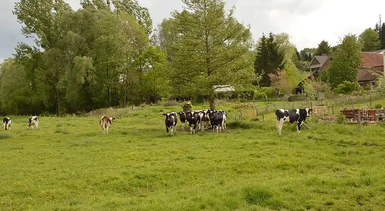 Holiday home in Slenaken