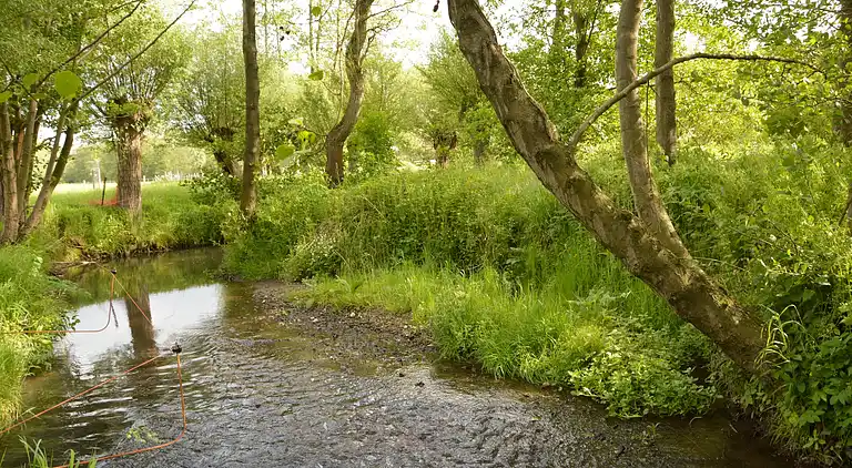Holiday home in Slenaken