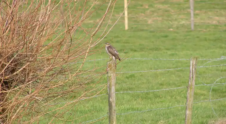Holiday home in Mechelen